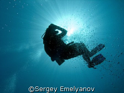 Birth of the diver by Sergey Emelyanov 